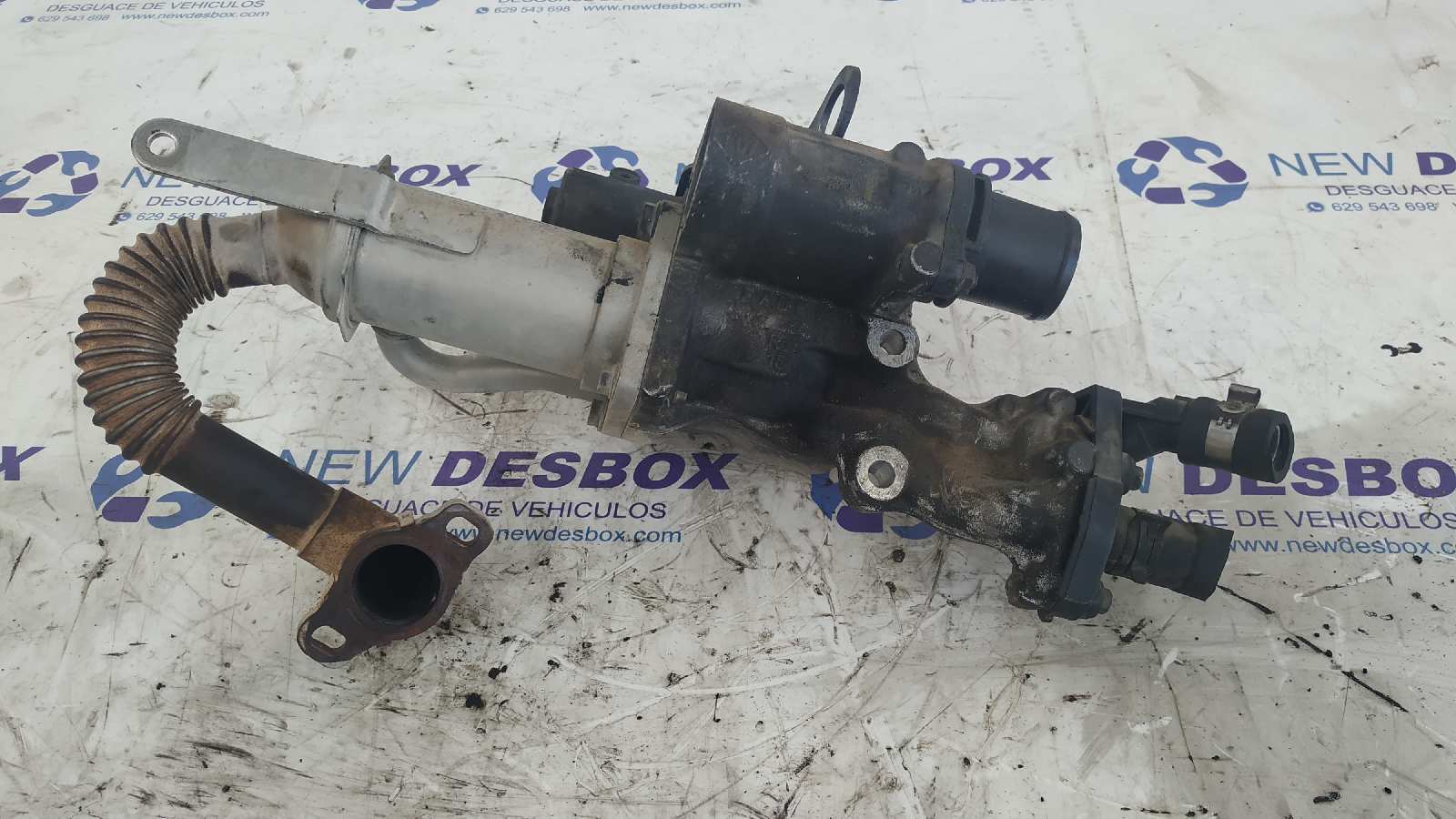 VALVULA EGR RENAULT KANGOO (F/KC0) - vista 7