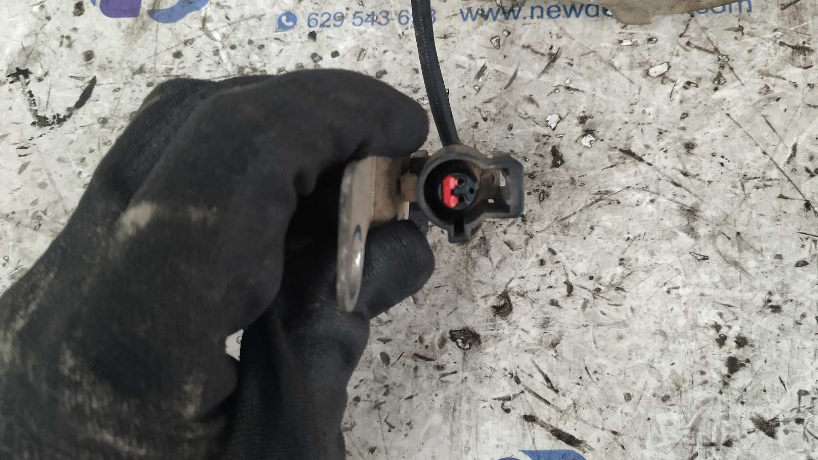 COMPRESOR AIRE ACONDICIONADO LAND ROVER RANGE ROVER SPORT - vista 6