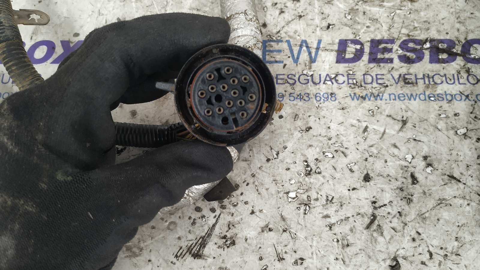 NO IDENTIFICADO LAND ROVER RANGE ROVER SPORT - vista 10