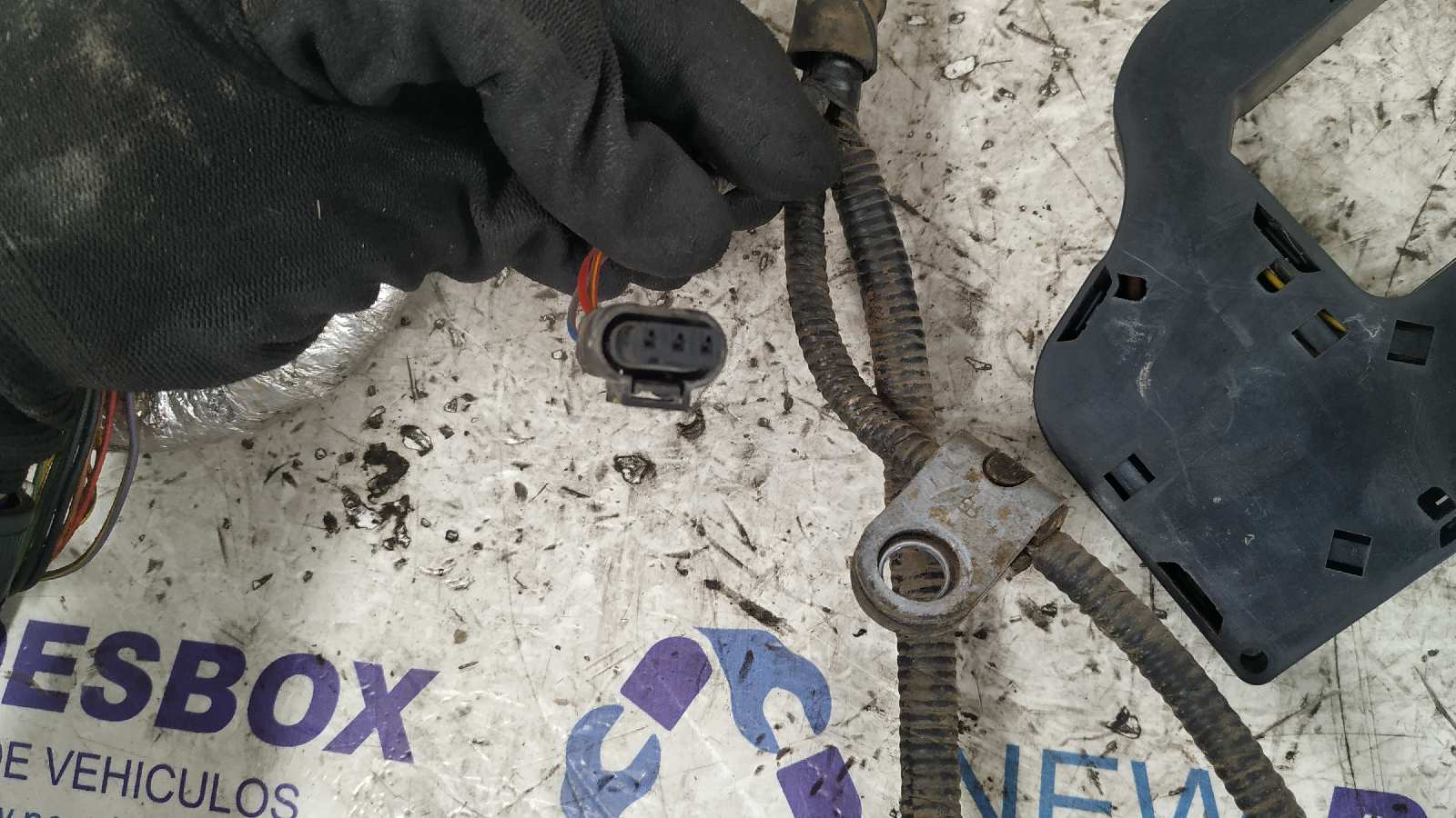 NO IDENTIFICADO LAND ROVER RANGE ROVER SPORT - vista 13