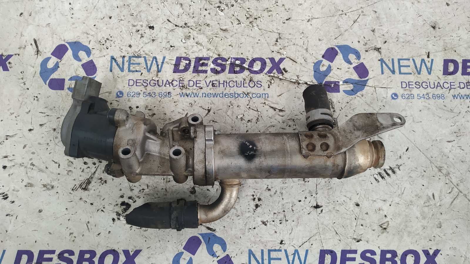 VALVULA EGR LAND ROVER RANGE ROVER SPORT - vista 6