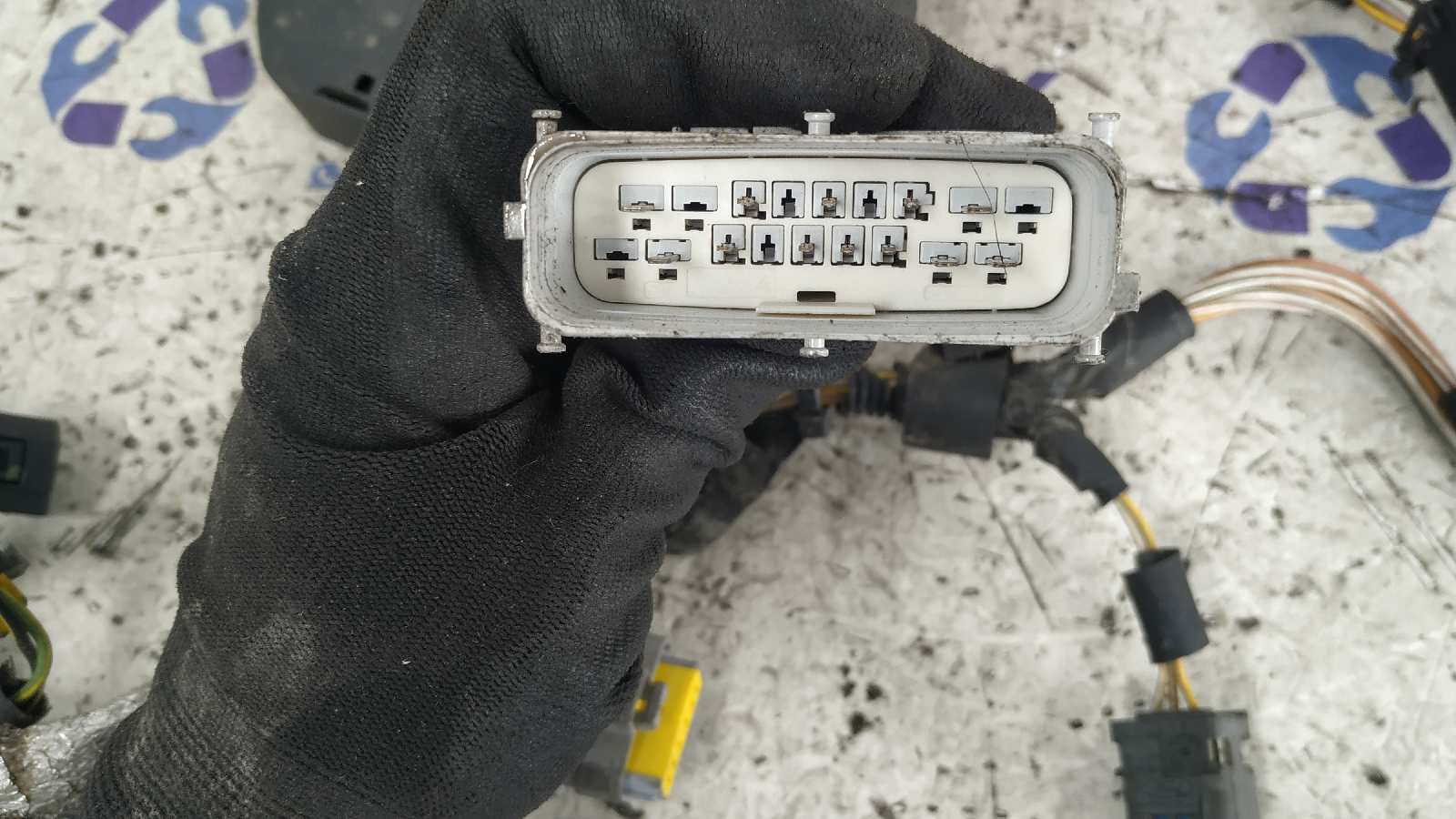 NO IDENTIFICADO LAND ROVER RANGE ROVER SPORT - vista 32