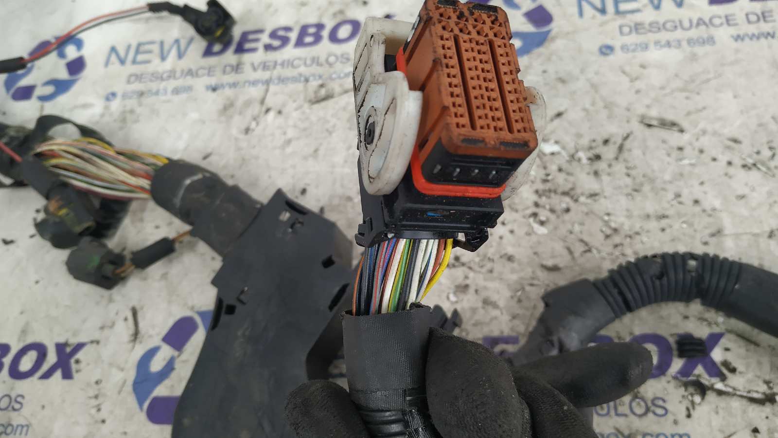 NO IDENTIFICADO LAND ROVER RANGE ROVER SPORT - vista 13