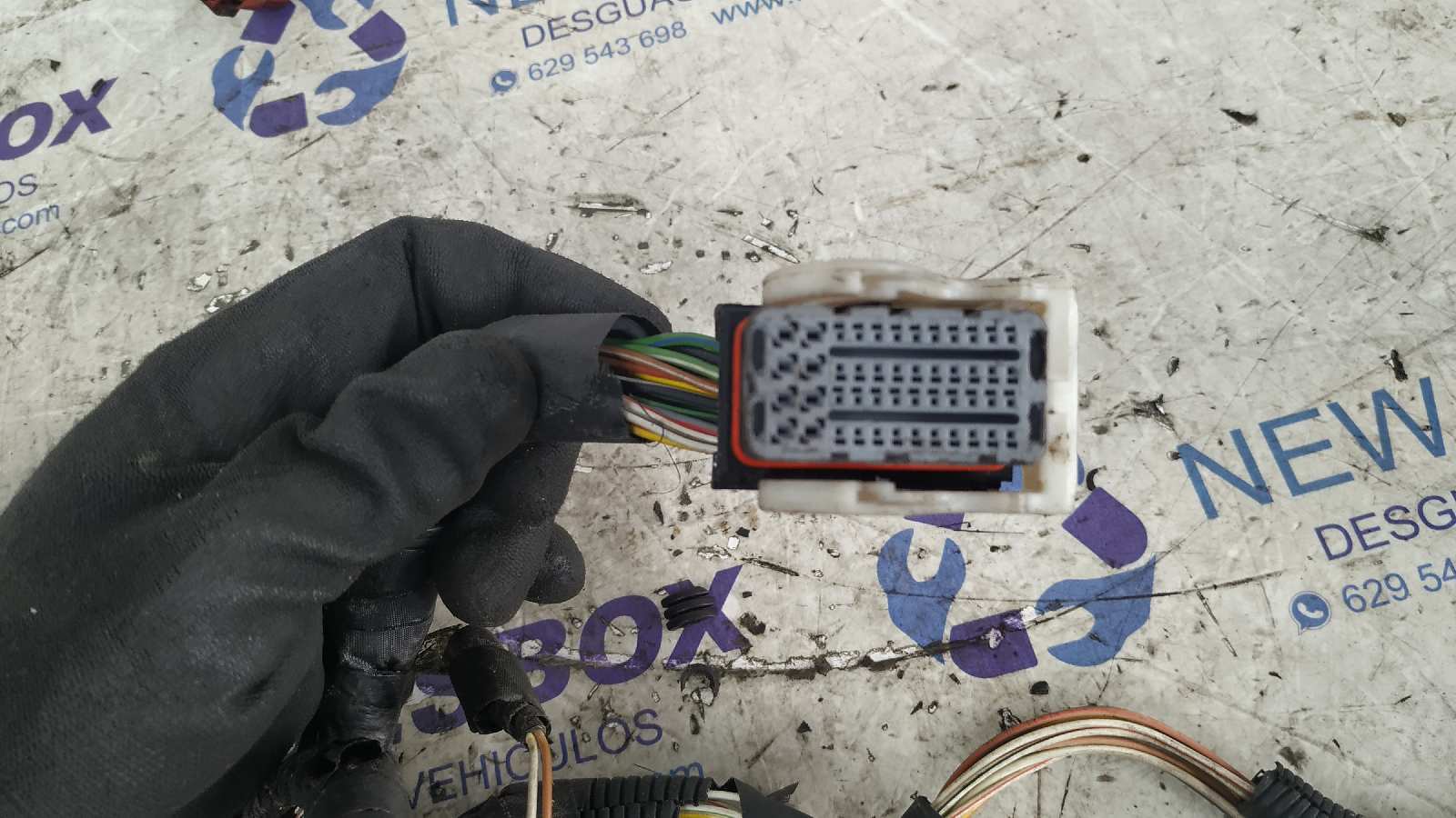 NO IDENTIFICADO LAND ROVER RANGE ROVER SPORT - vista 38