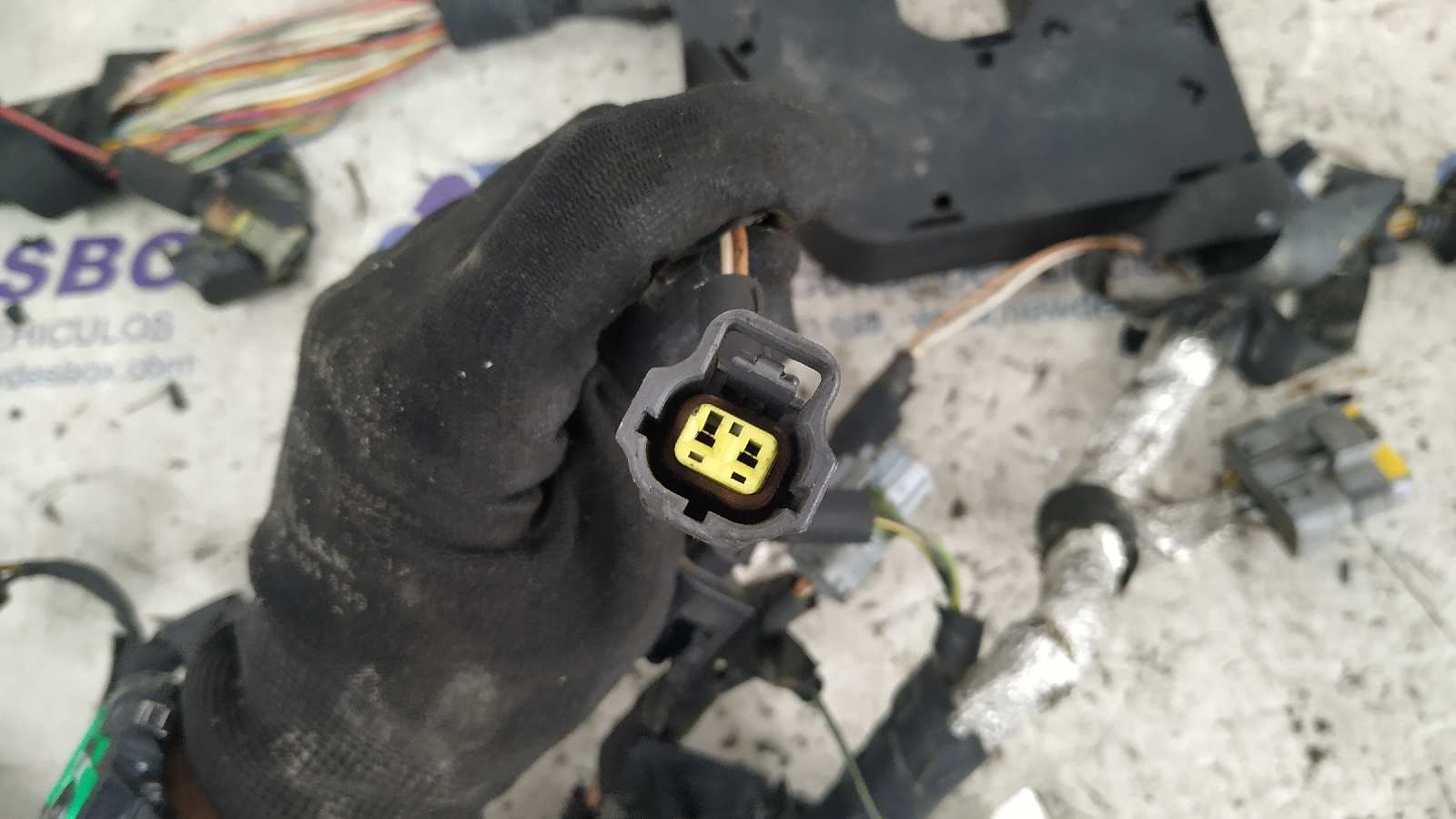 NO IDENTIFICADO LAND ROVER RANGE ROVER SPORT - vista 27