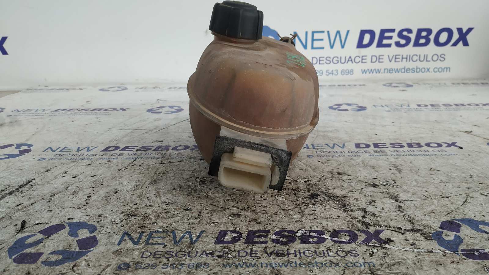 DEPOSITO EXPANSION RENAULT TRAFIC COMBI (AB 4.01) - vista 3