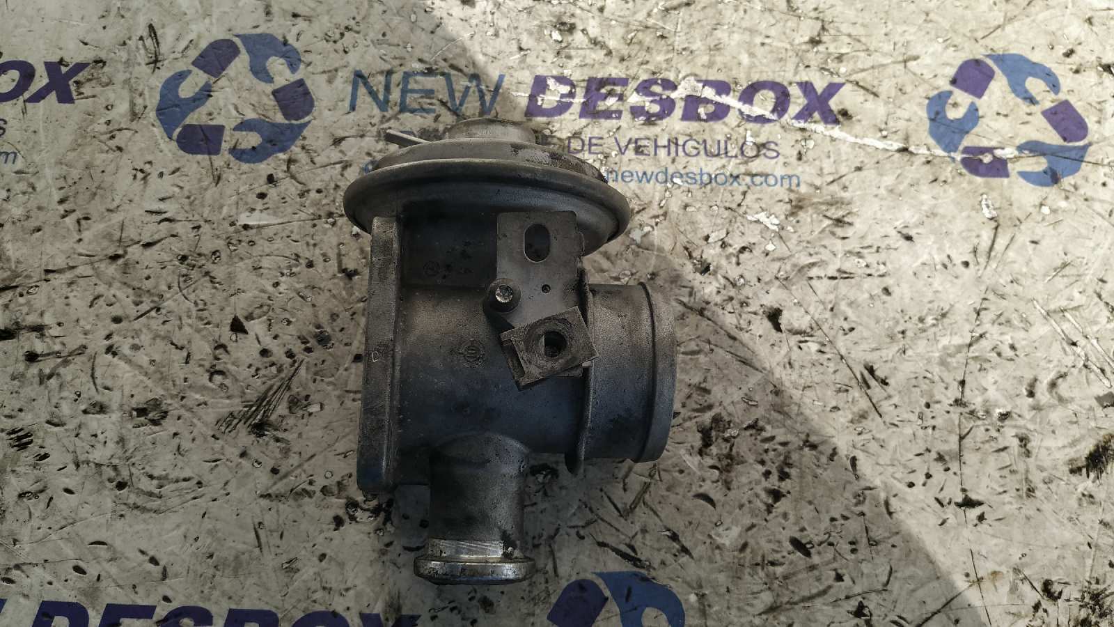 VALVULA EGR BMW SERIE 3 BERLINA (E46)