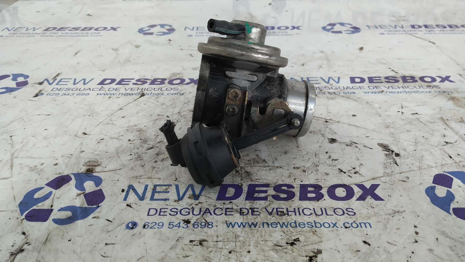 VALVULA EGR AUDI A3 (8L)