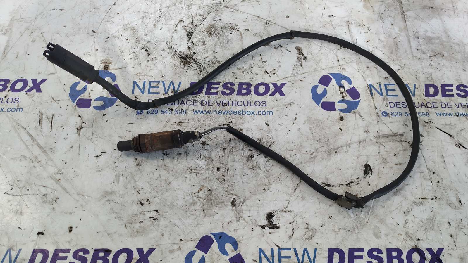 SONDA LAMBDA BMW X5 (E53)