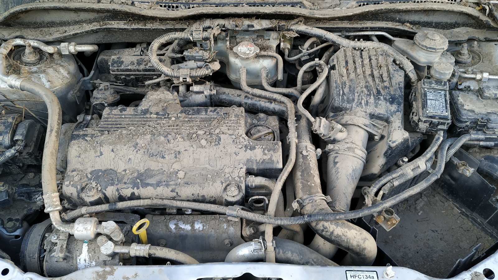 Vista 12