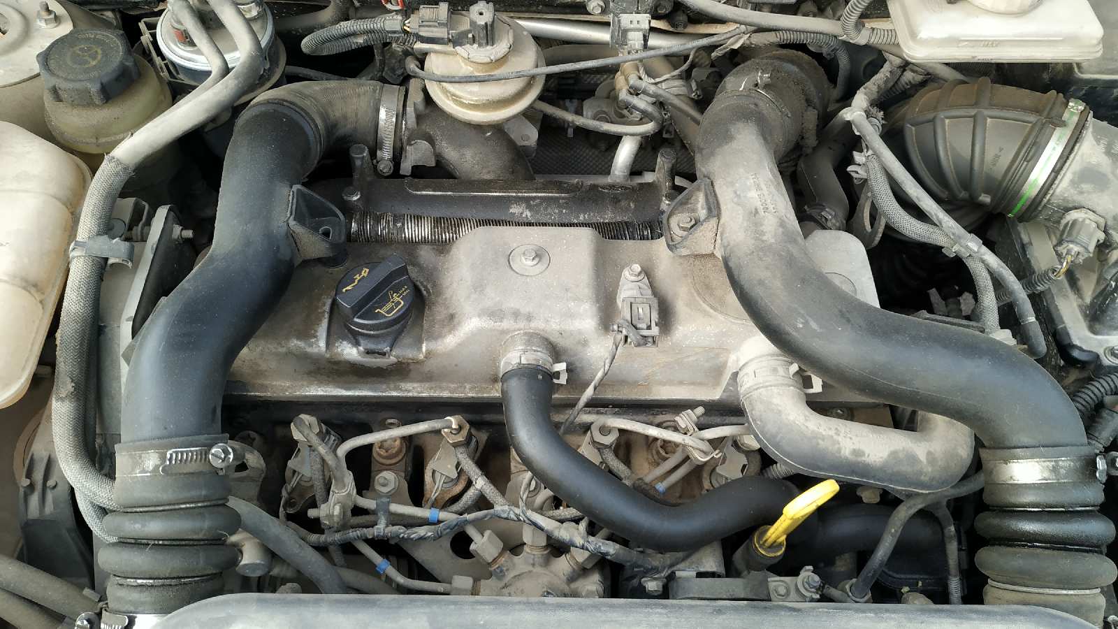 Vista 6