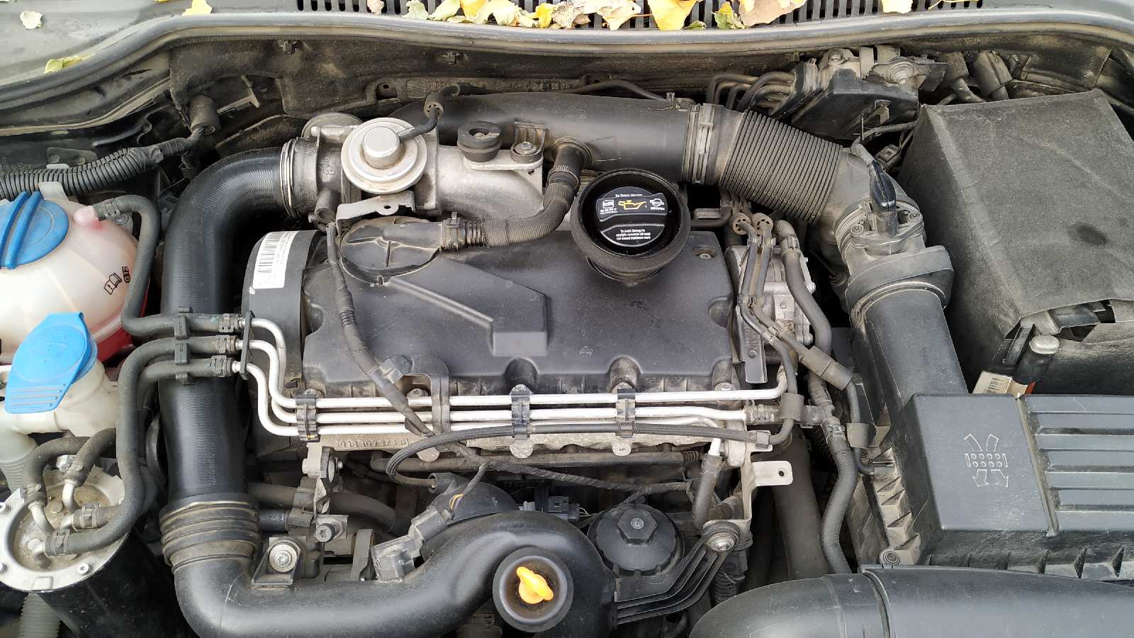 Vista 6