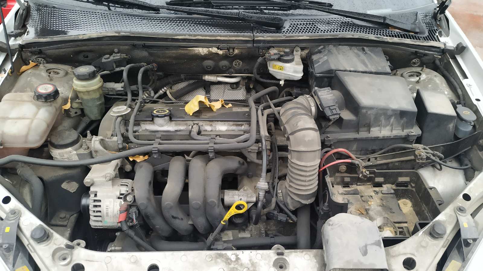 Vista 12