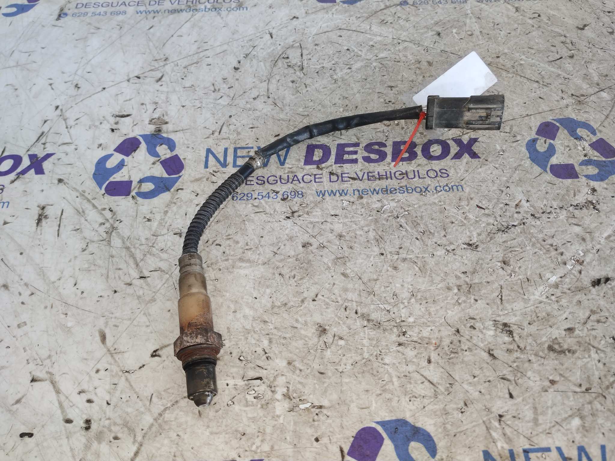 SONDA LAMBDA RENAULT SCENIC (JA..)