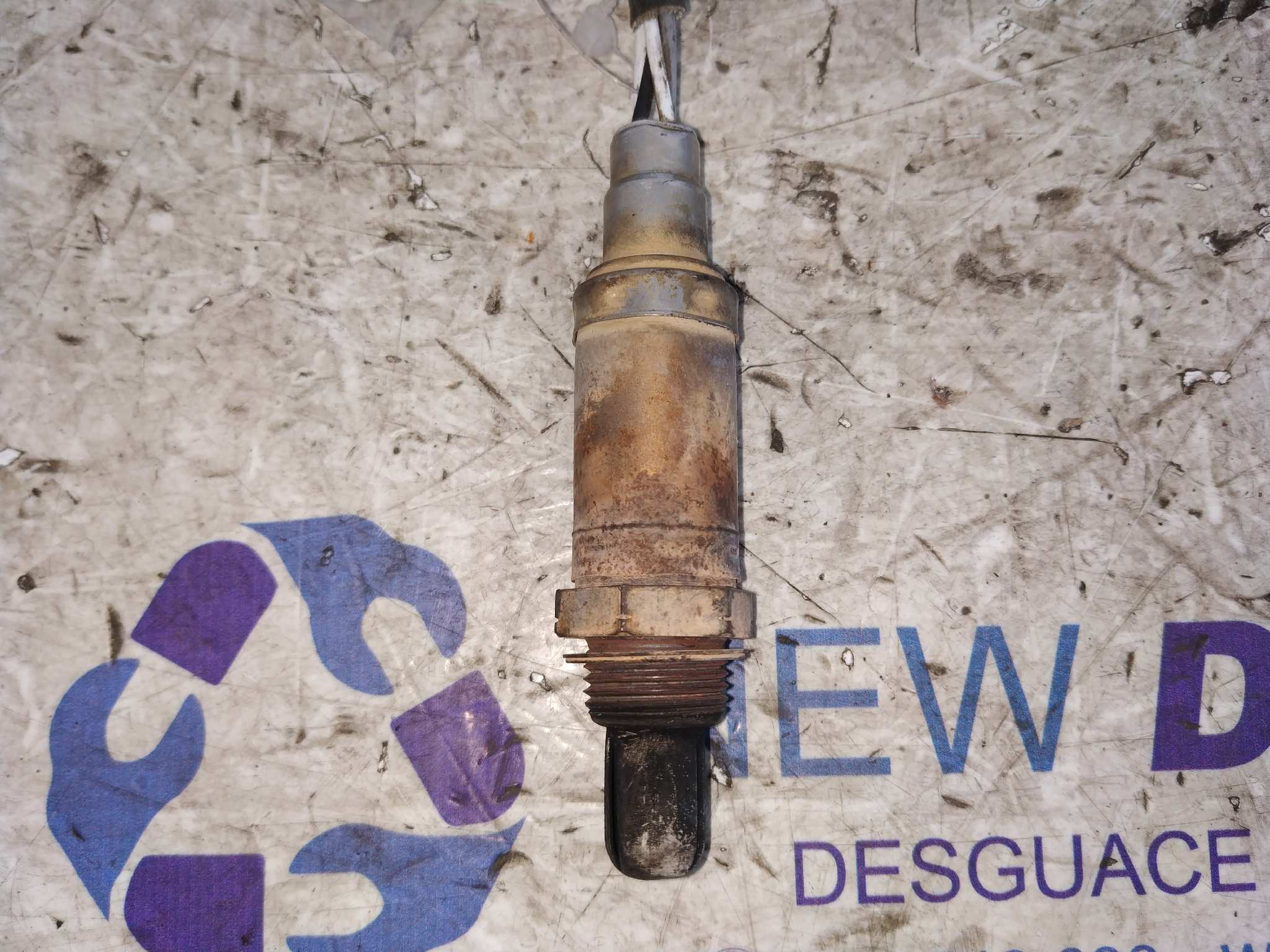 SONDA LAMBDA RENAULT LAGUNA (B56) - vista 2