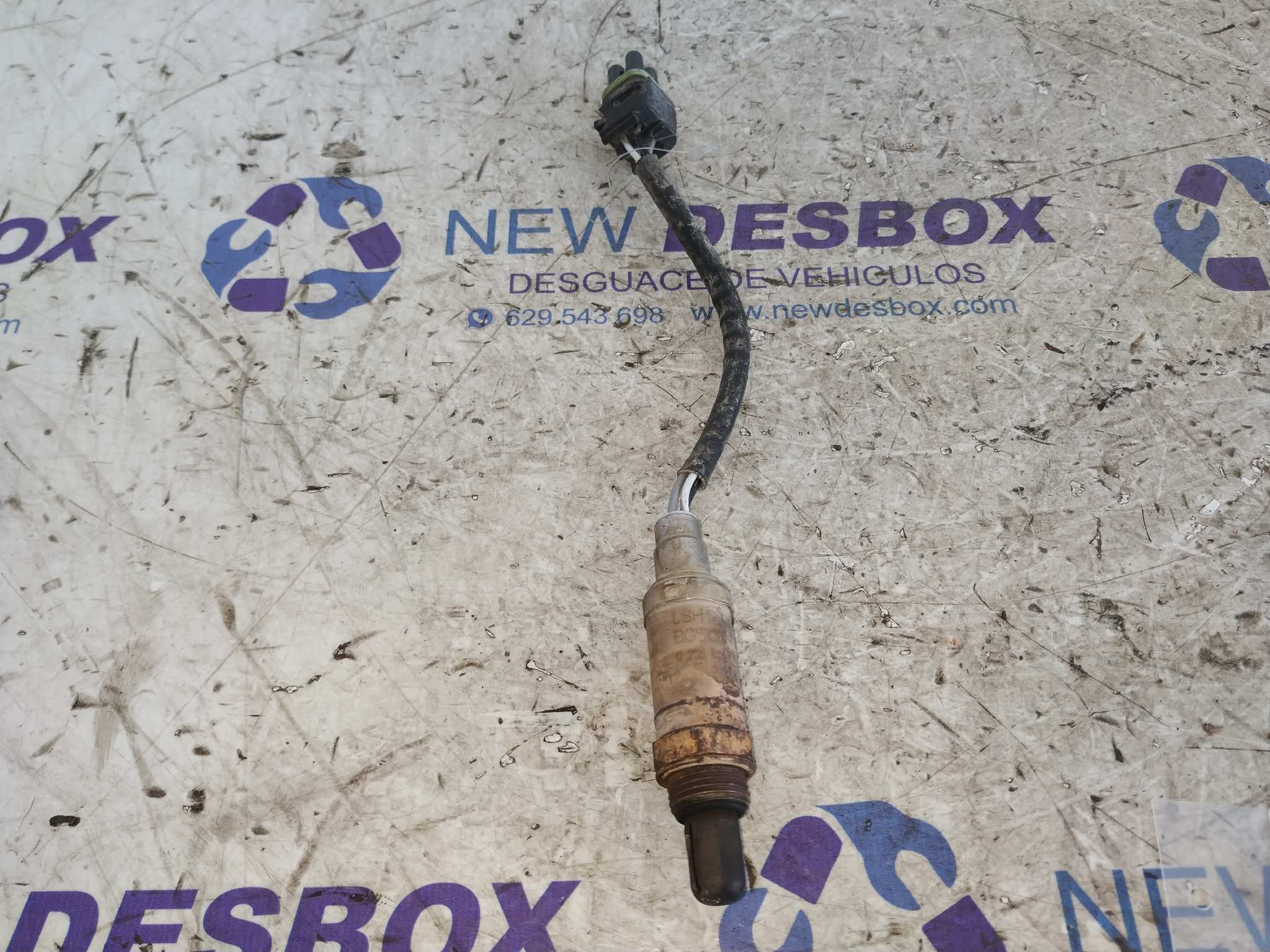 SONDA LAMBDA RENAULT LAGUNA (B56)