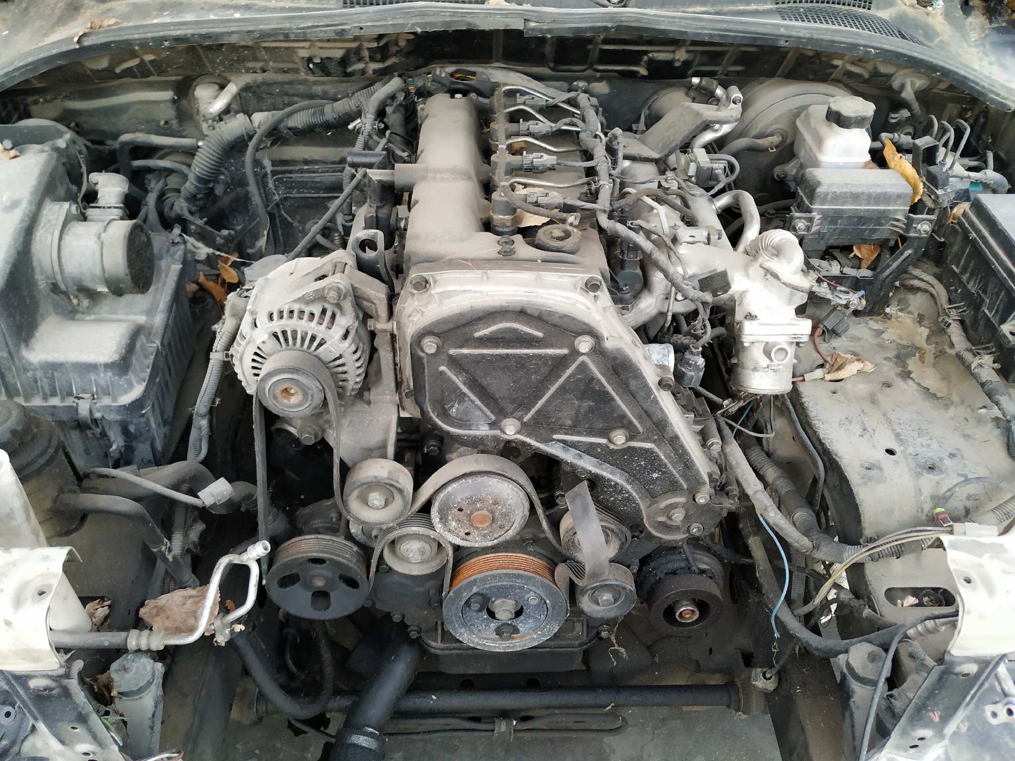 Vista 9