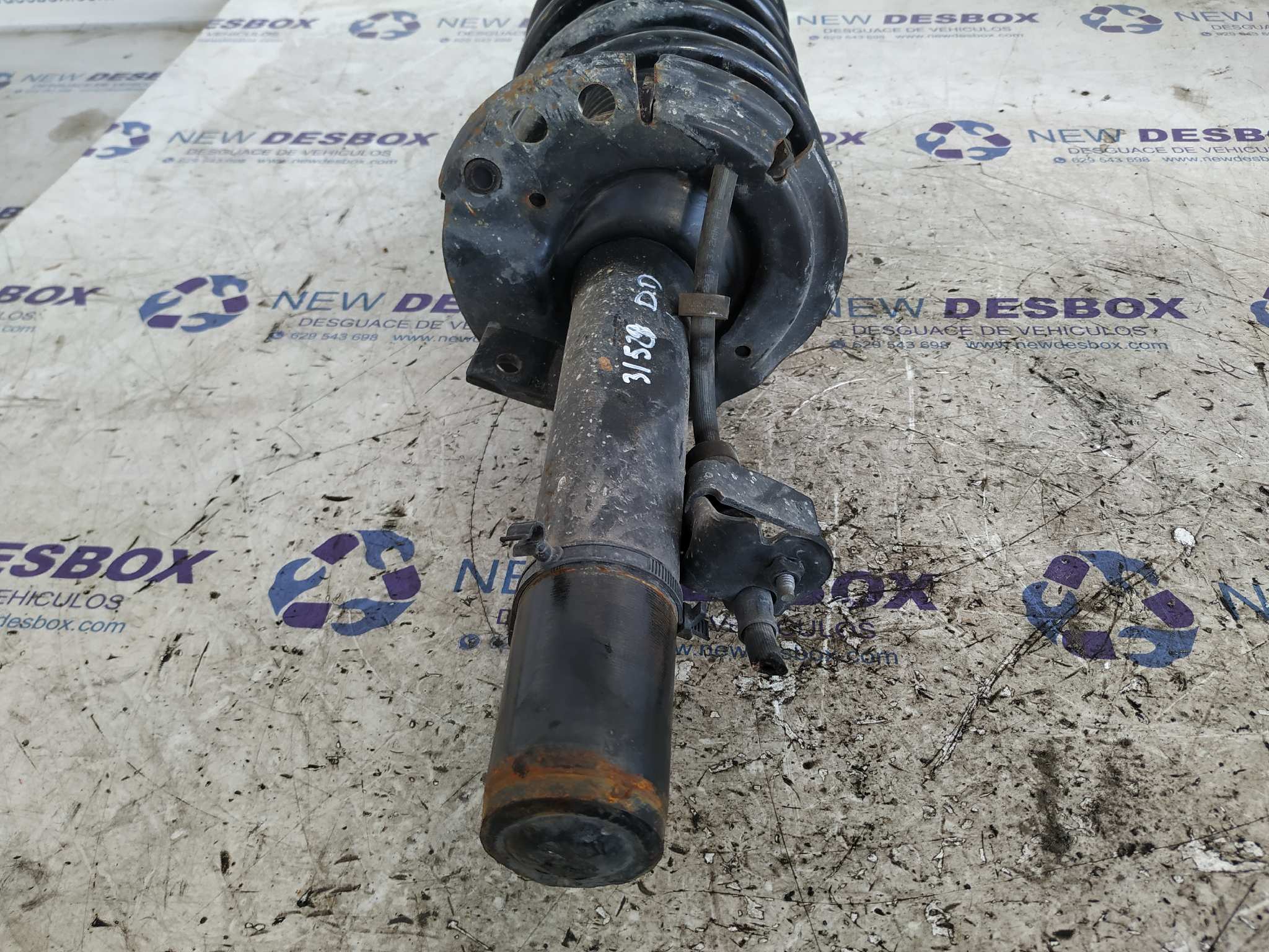 AMORTIGUADOR DELANTERO DERECHO FORD TRANSIT CONNECT - vista 4