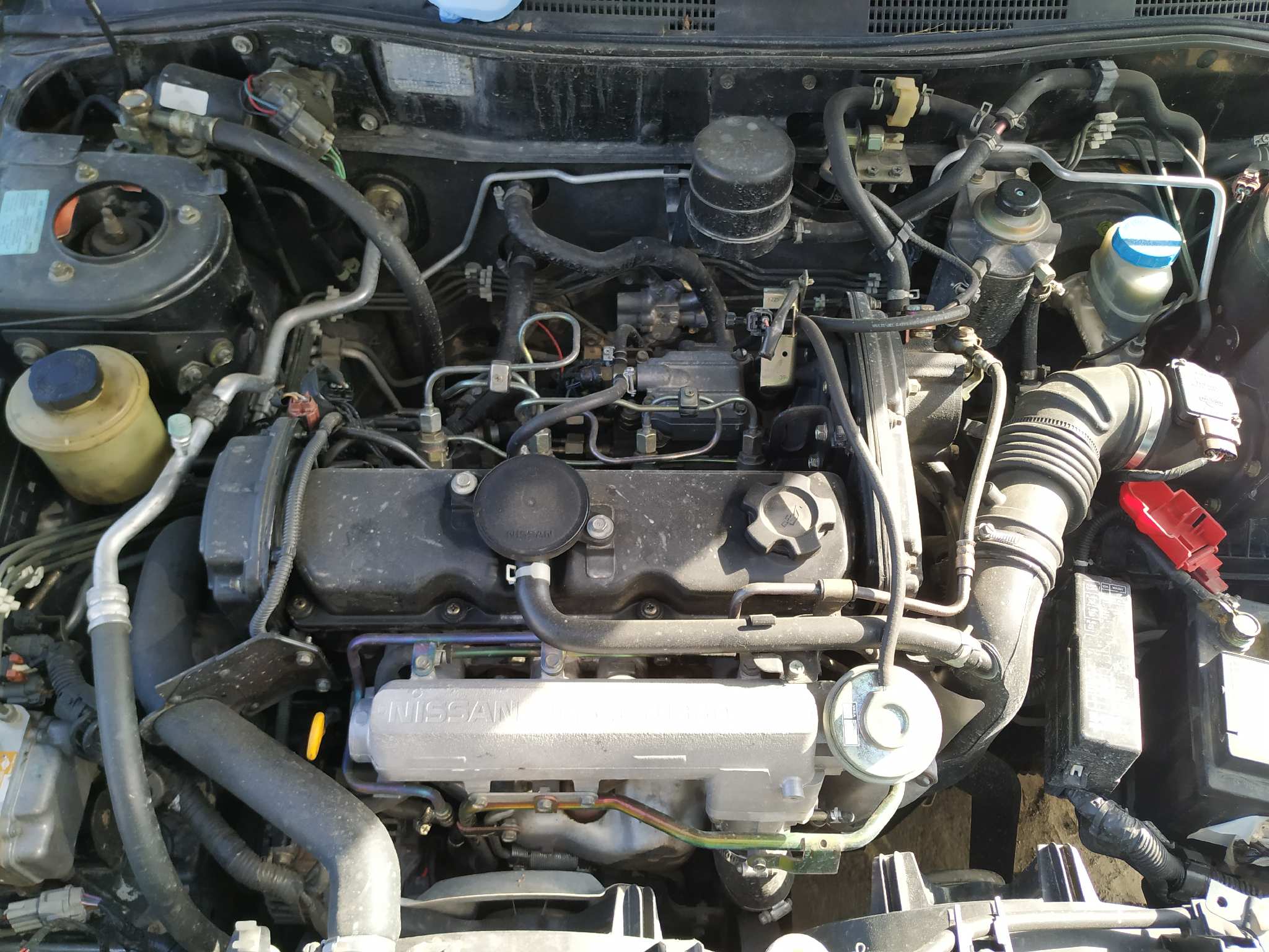 Vista 6