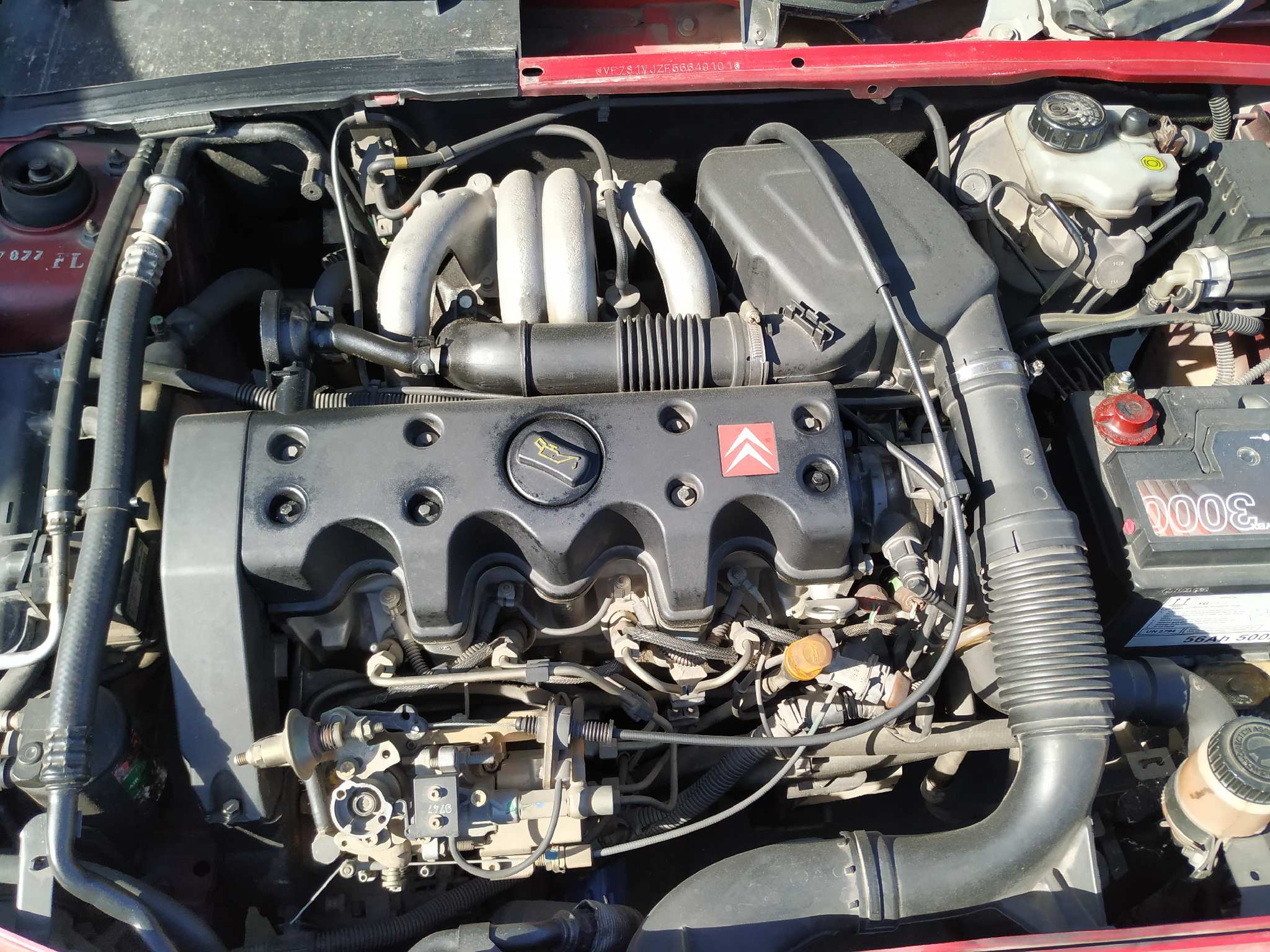 Vista 11