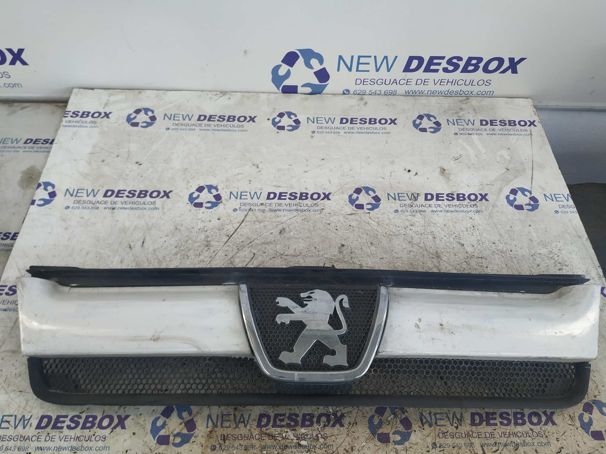 REJILLA DELANTERA PEUGEOT BOXER CAJA CERRADA (RS2850)(290/330)('02->)