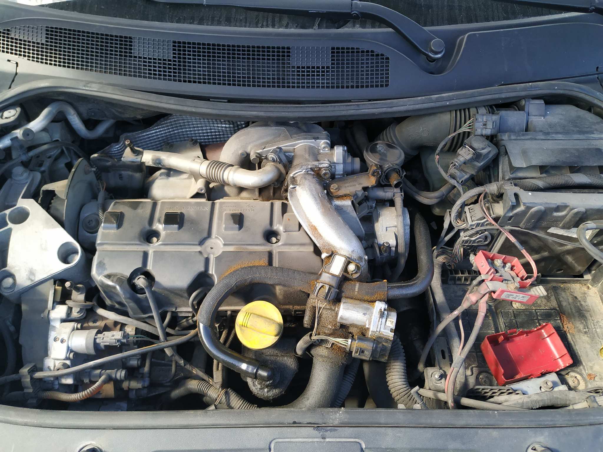 Vista 12