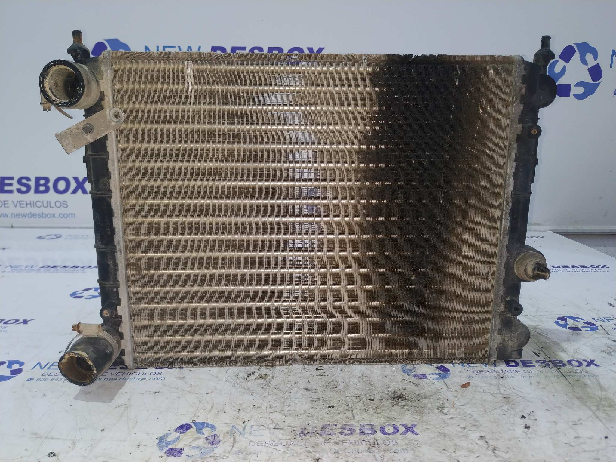 RADIADOR AGUA LIGIER NOVA