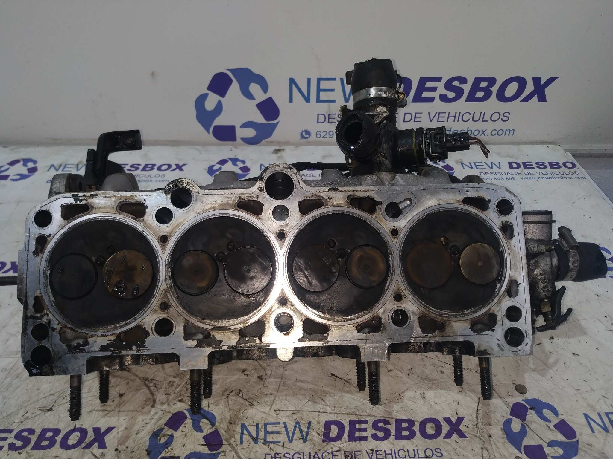 CULATA AUDI A4 BERLINA (B5) - vista 5