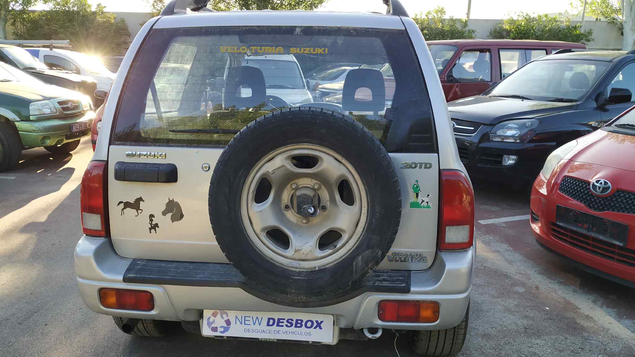 Vista 6