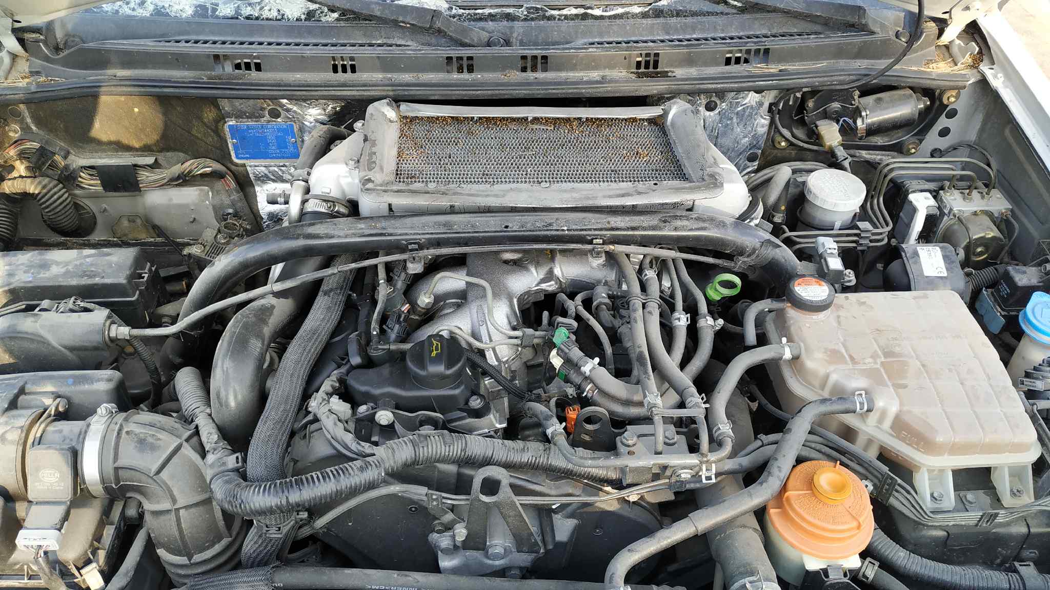 Vista 2