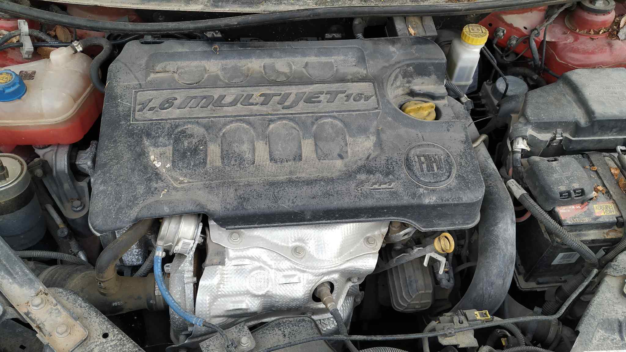 Vista 5