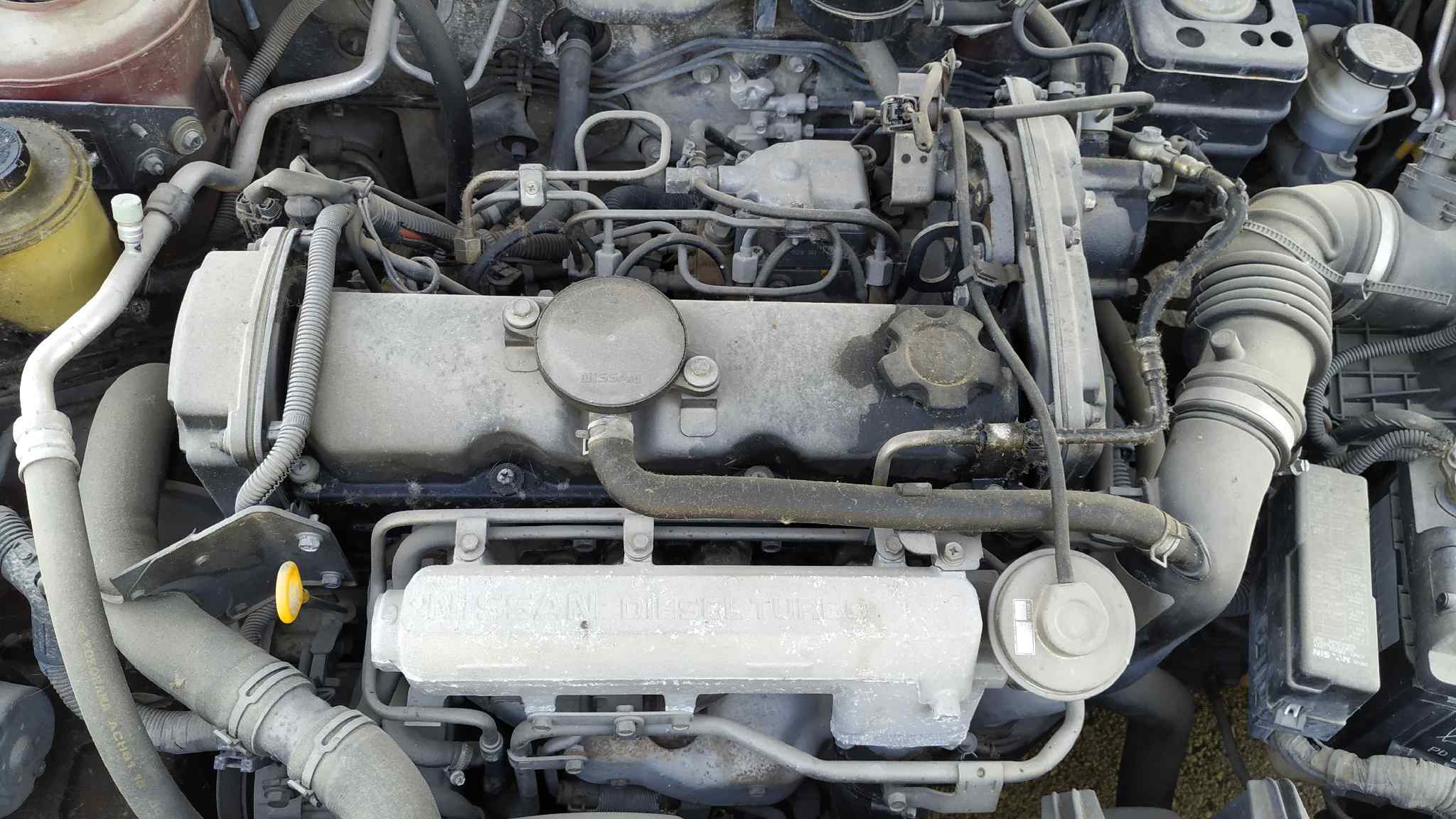 Vista 4
