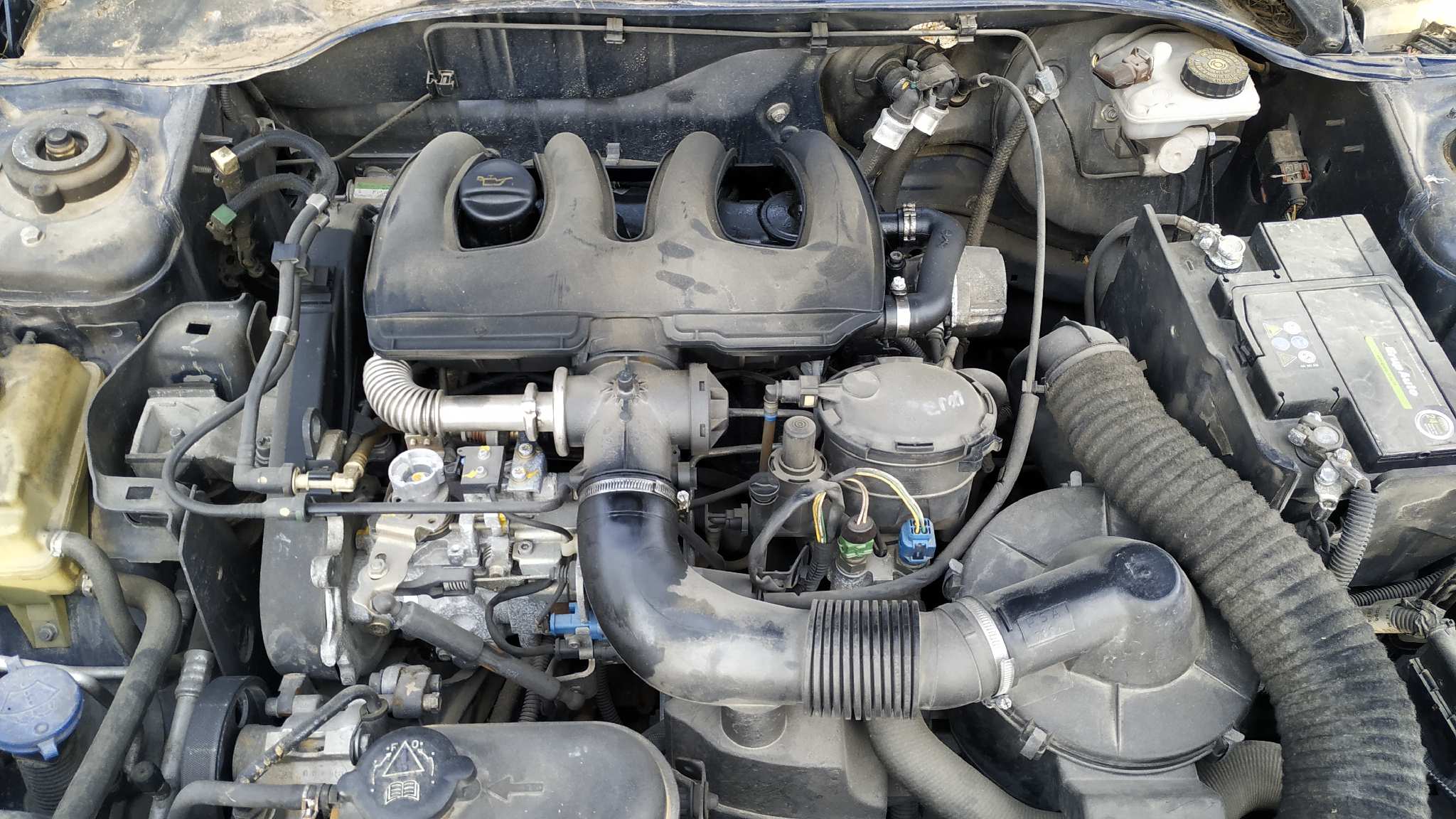 Vista 6