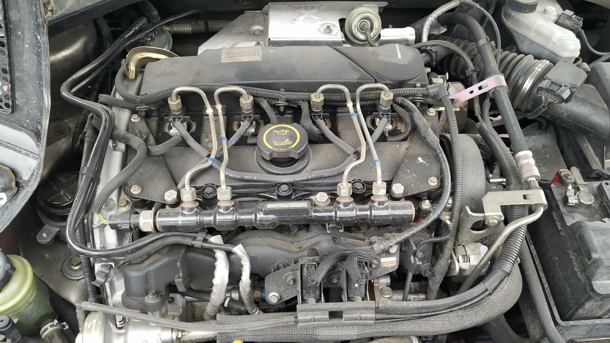 Vista 14