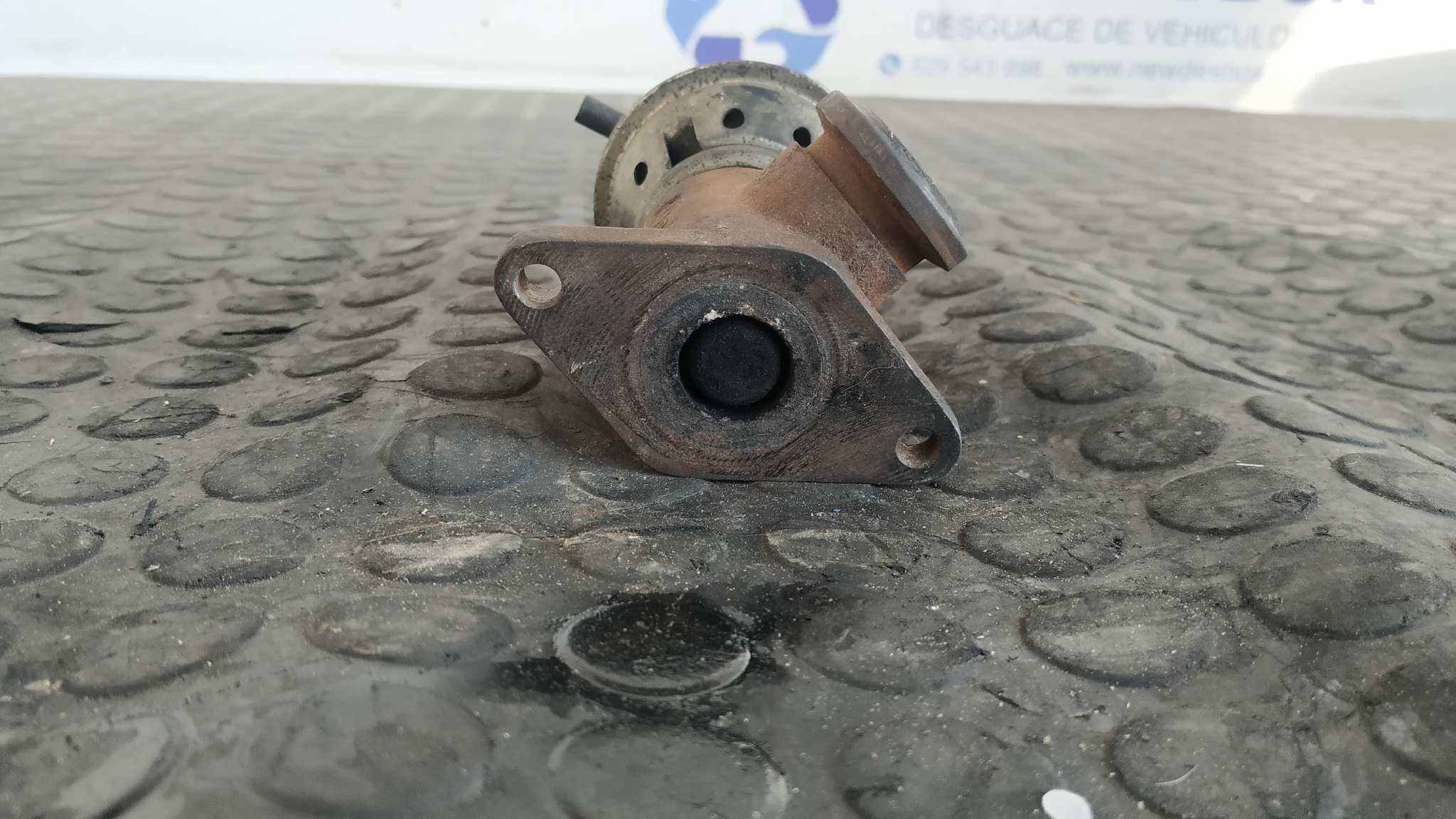 VALVULA EGR PEUGEOT 406 BERLINA (S1/S2) - vista 4