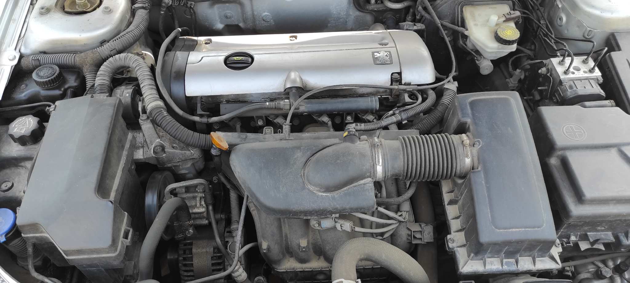 Vista 8