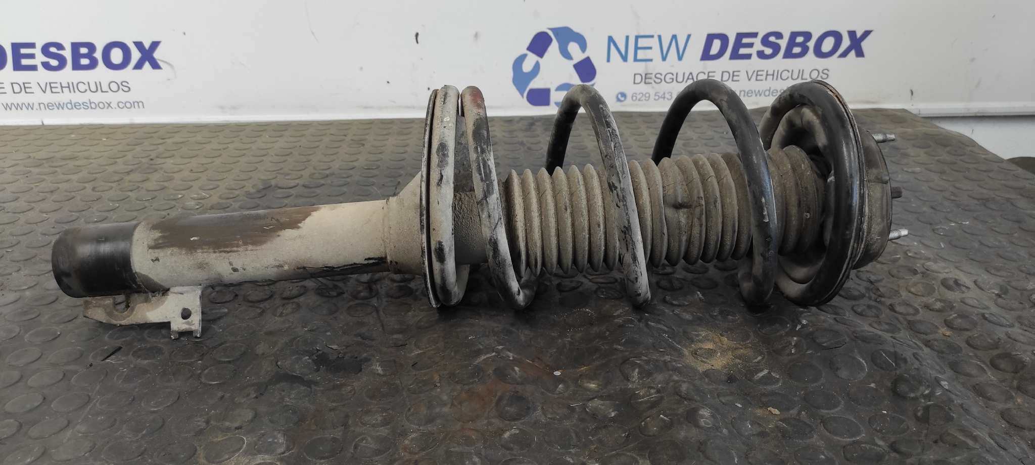 AMORTIGUADOR DELANTERO DERECHO FORD TRANSIT CAJA CERRADA, LARGA (FY) (2000 =>)