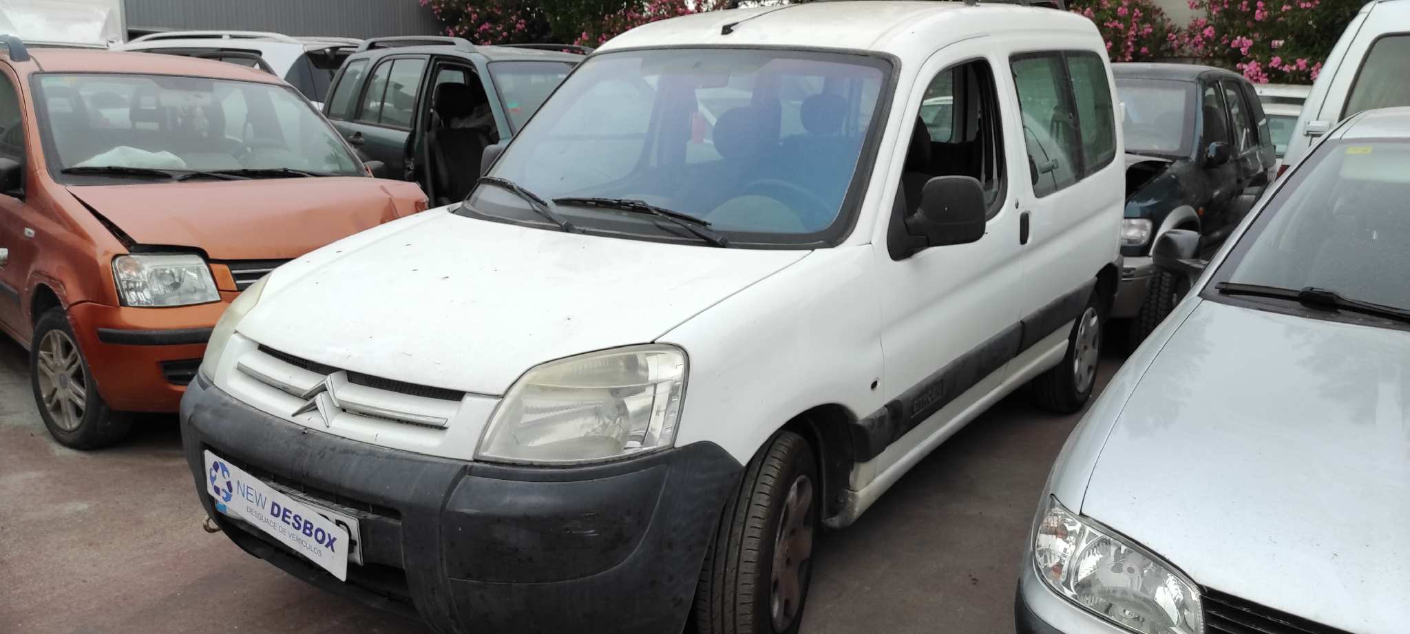 MANGUETA DELANTERA DERECHA CITROEN BERLINGO CUADRO - vista 7