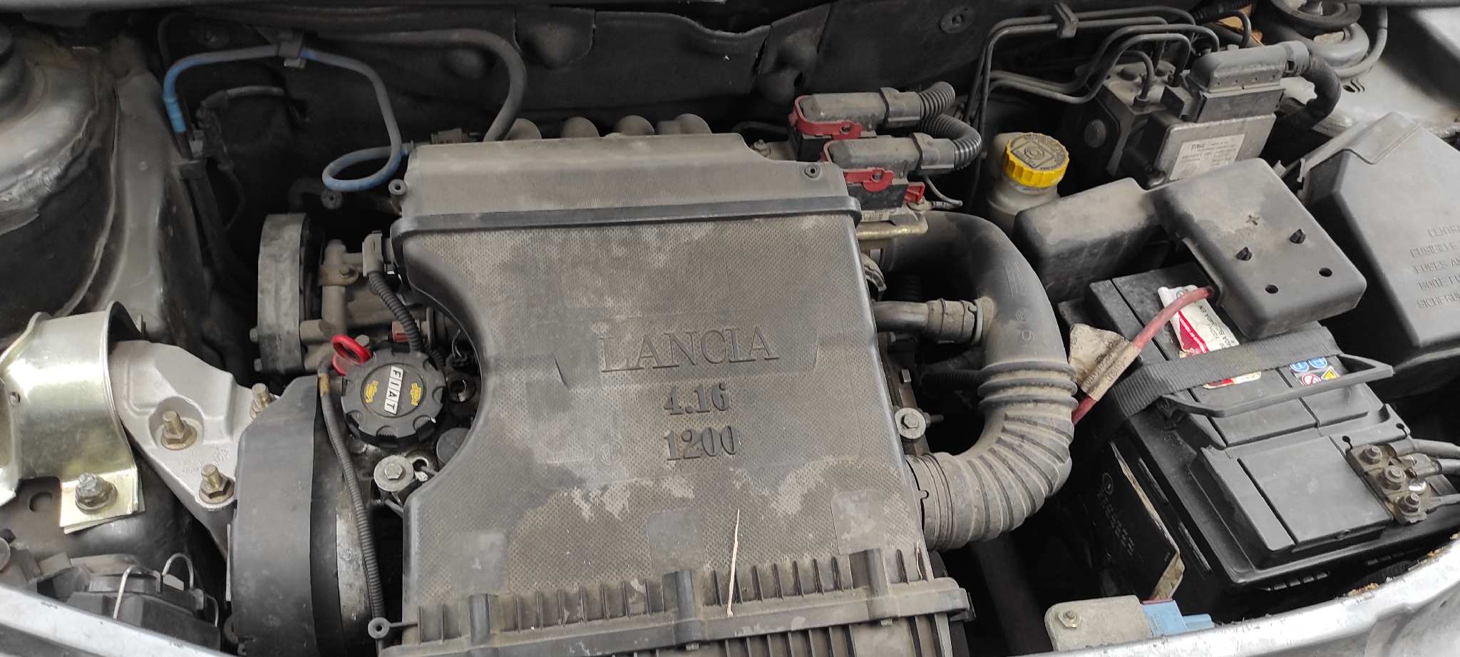 RADIADOR AGUA LANCIA YPSILON (101) - vista 11