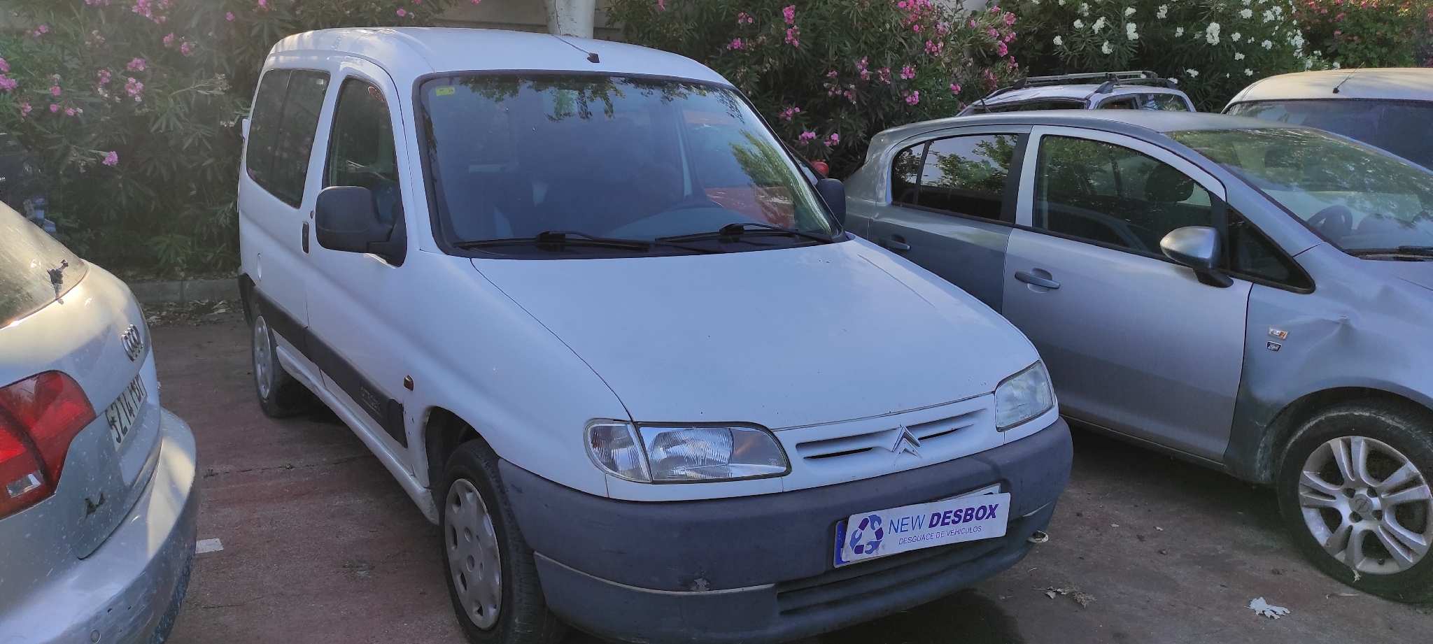 CAJA CAMBIOS CITROEN BERLINGO - vista 6