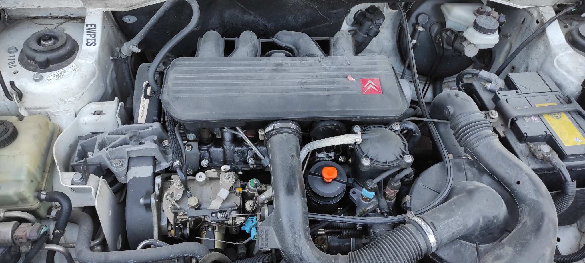 Vista 6