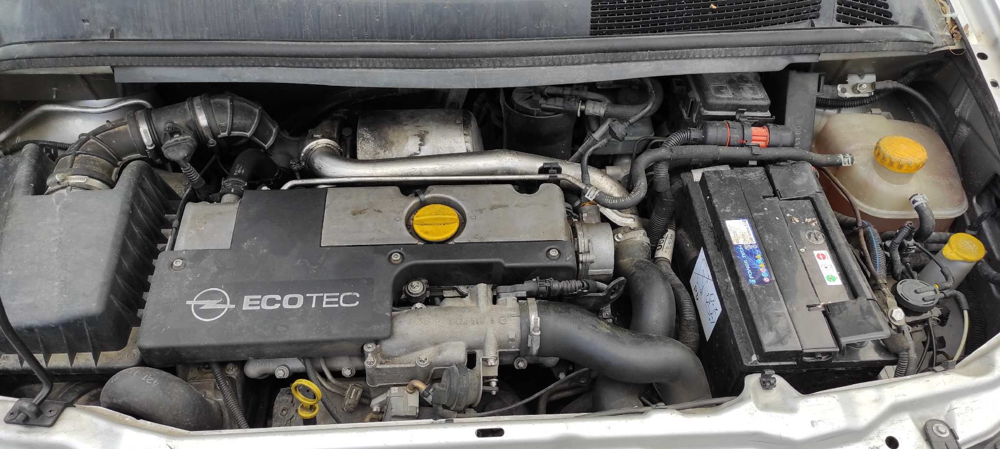 Vista 10