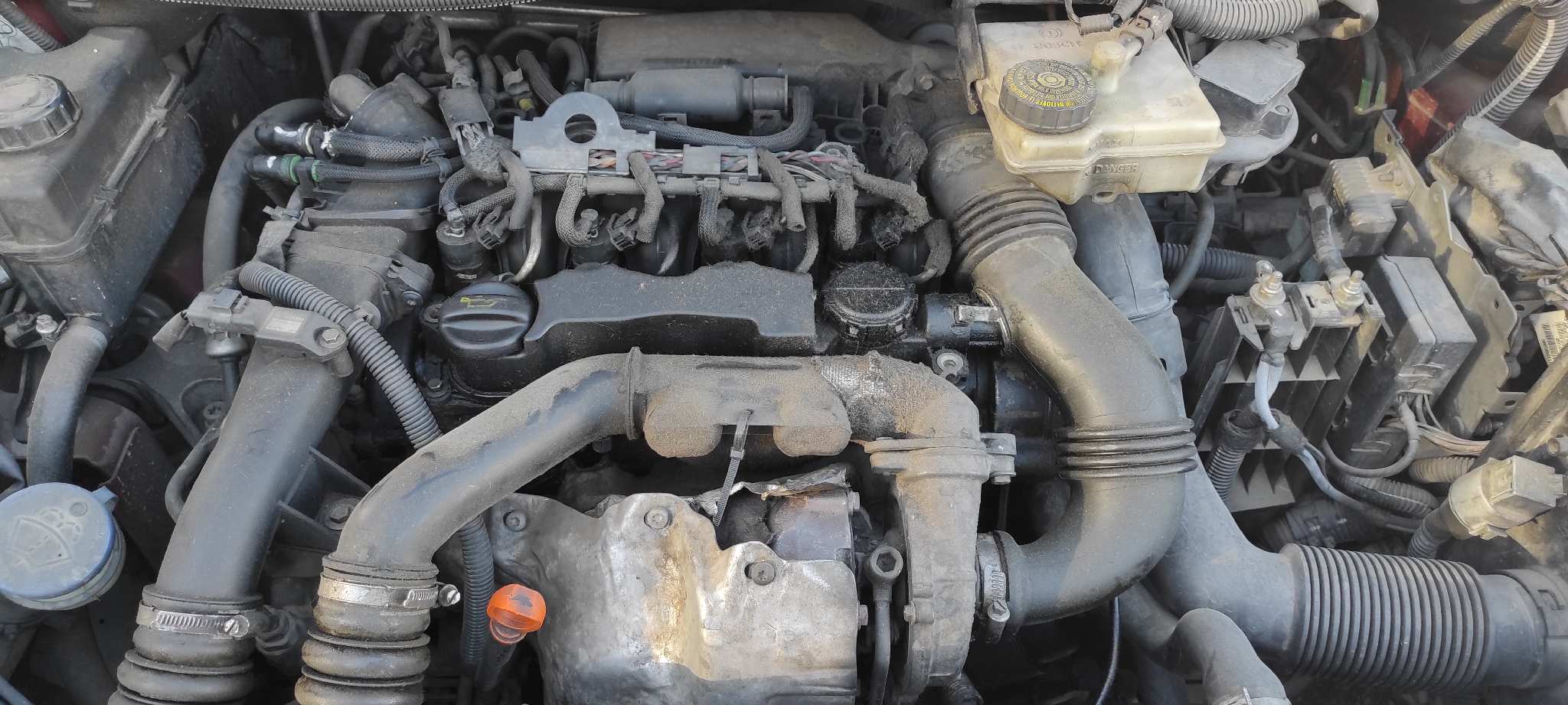 Vista 6