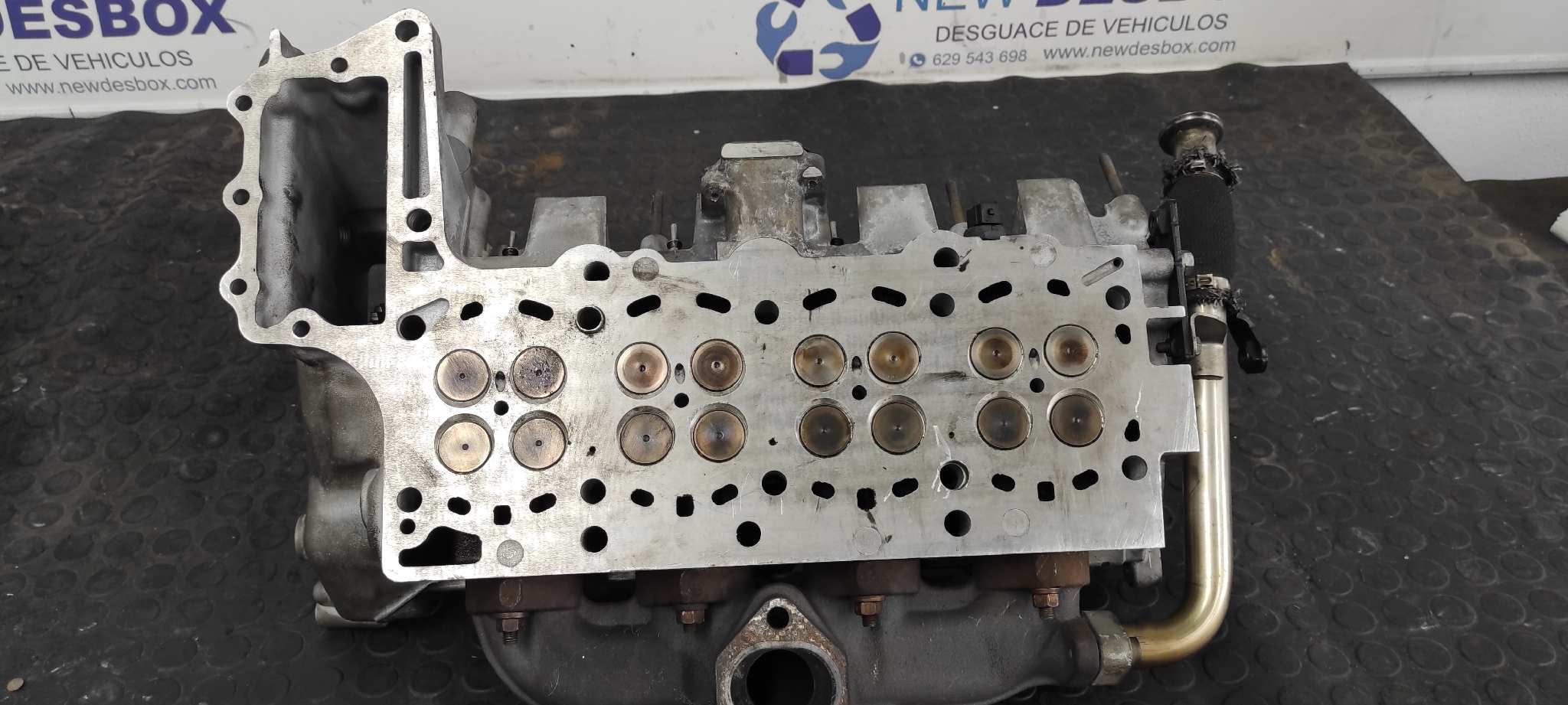 CULATA MG ROVER SERIE 75 (RJ) - vista 12