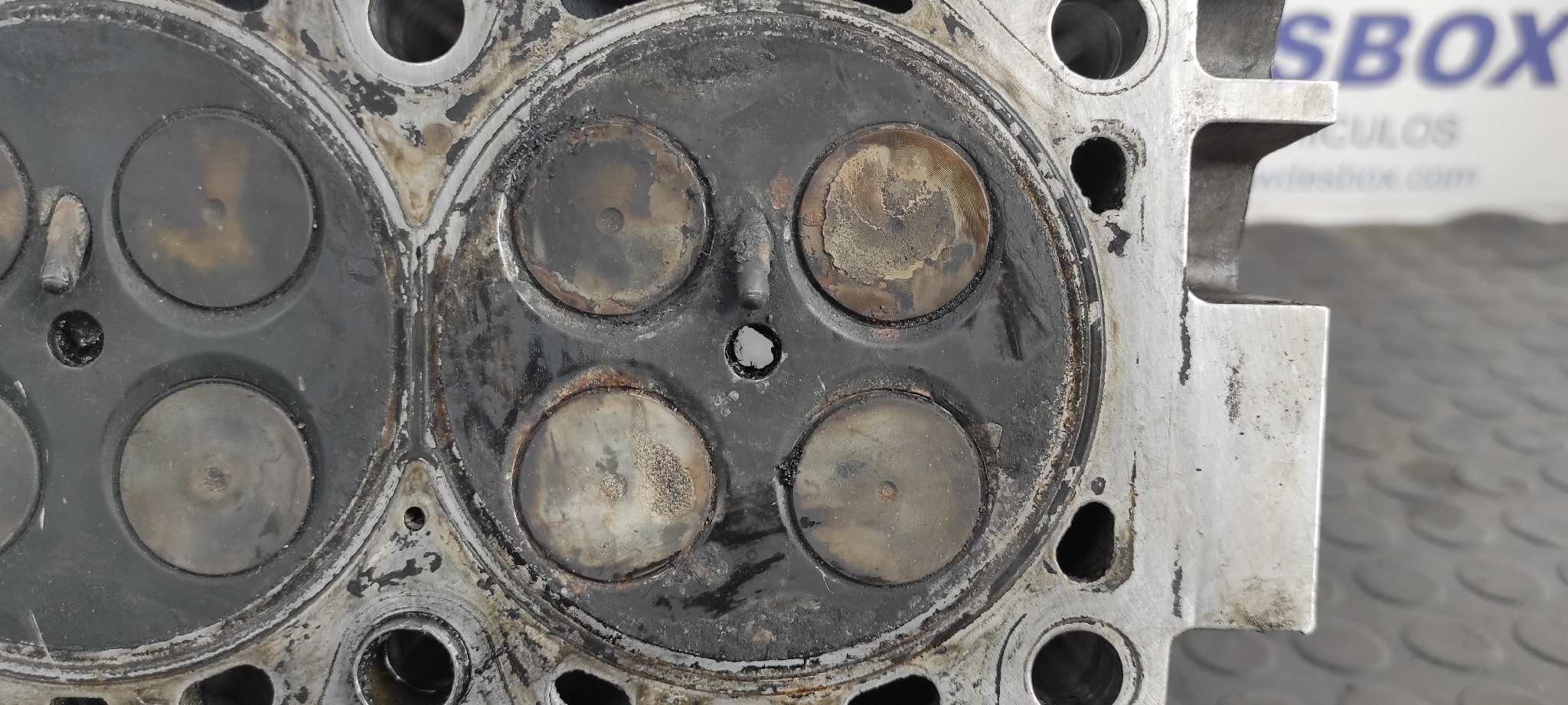 CULATA BMW SERIE 5 BERLINA (E39) - vista 7