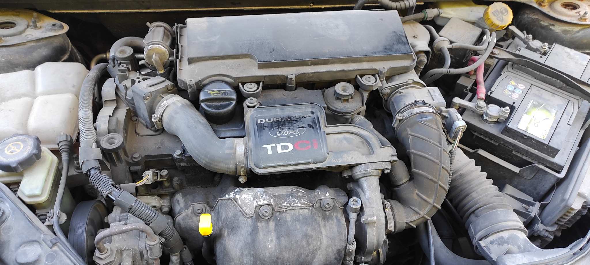 Vista 5