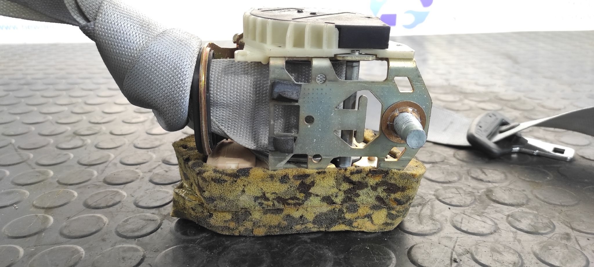 CINTURON TRASERO DERECHO MERCEDES-BENZ CLASE C (W203) BERLINA - vista 3