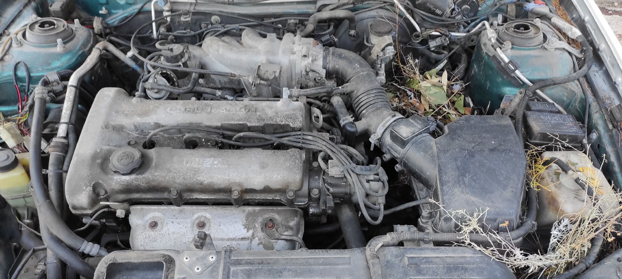 PUERTA TRASERA DERECHA MAZDA MX-3 (EC) - vista 4