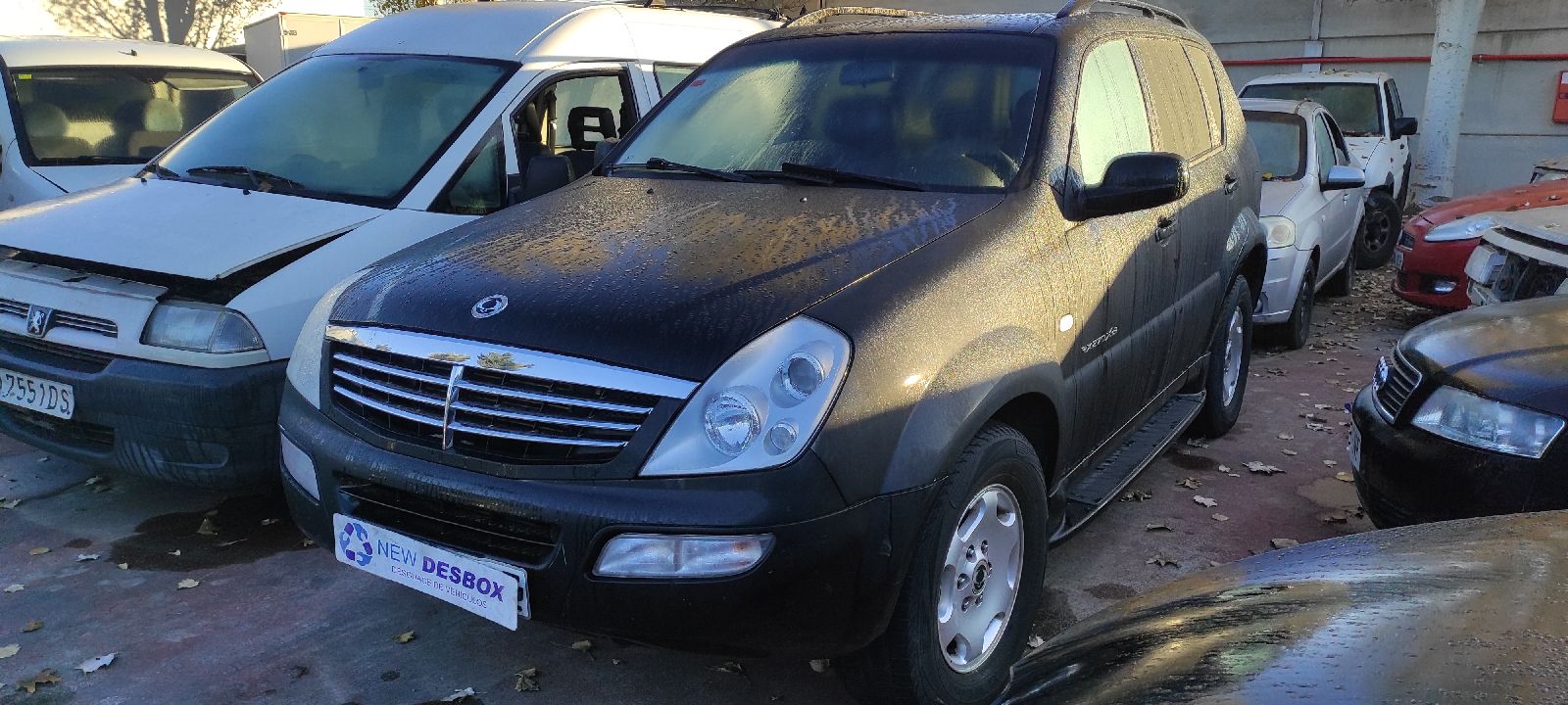 CINTURON DELANTERO IZQUIERDO SSANGYONG REXTON - vista 11