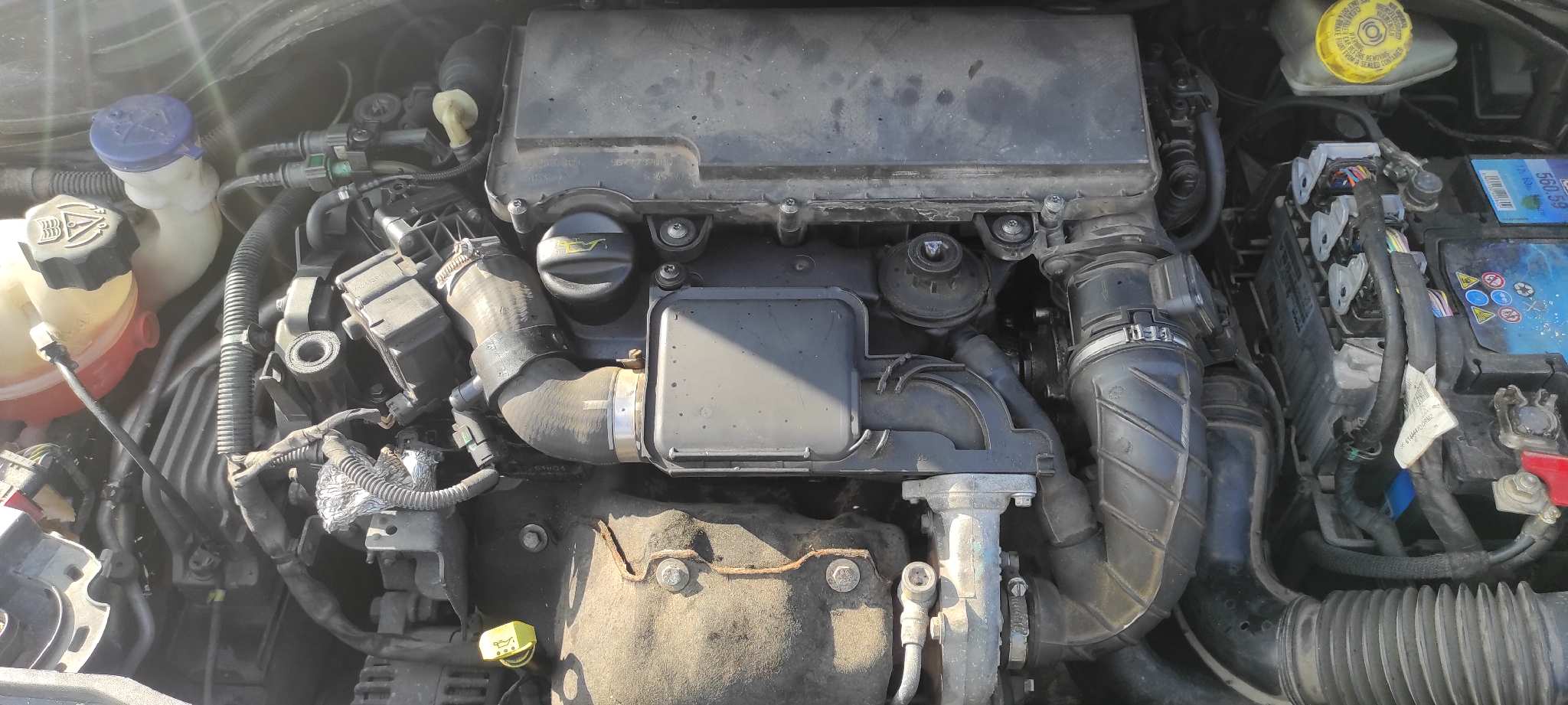Vista 12